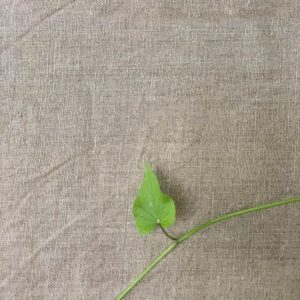 מפת שולחן מפשתן | The Linen Tablecloth