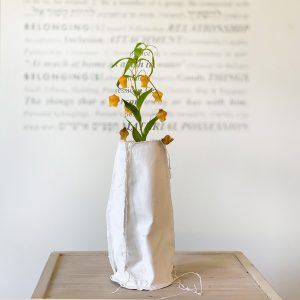 'ואזה' אמנותית | Sculptured Vase